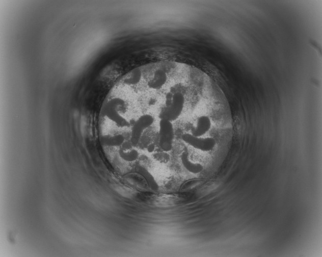 X0000101950527200808081508