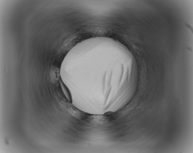 X0000101950528200808081508