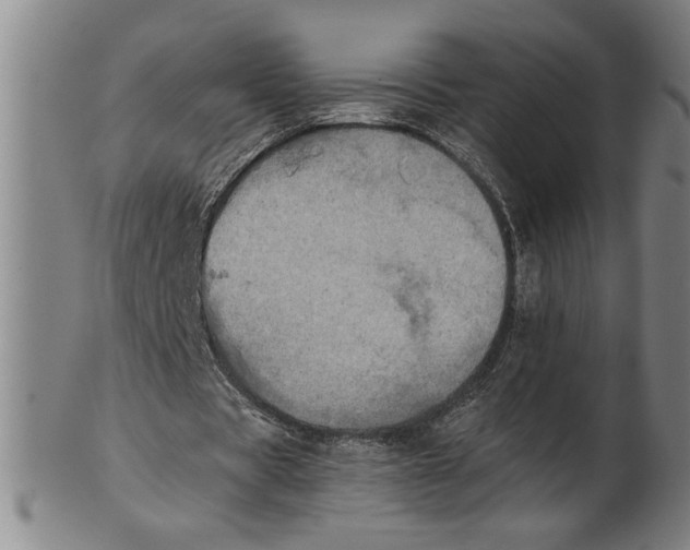 X0000101950529200808081507