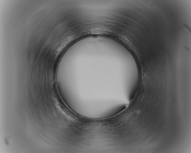 X0000101950530200808081507