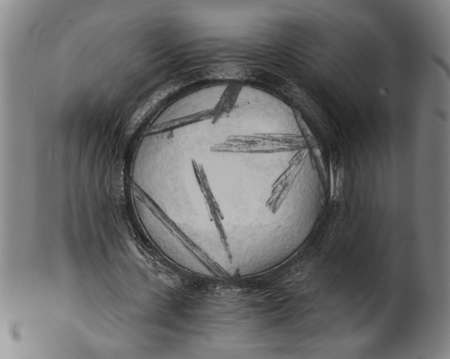 X0000101950531200808081507