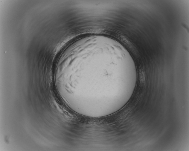 X0000101950532200808081507
