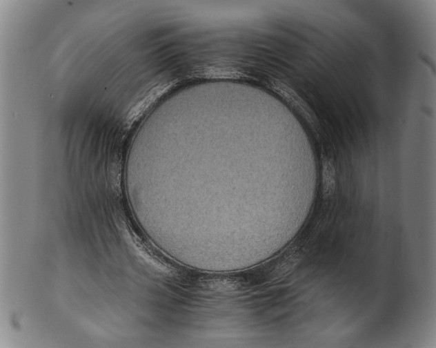 X0000101950533200808081507