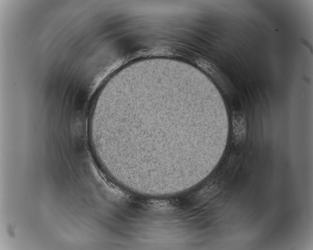 X0000101950534200808081507