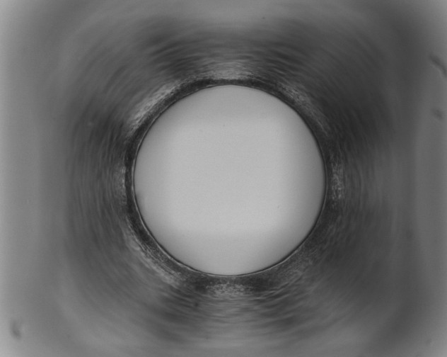 X0000101950535200808081507