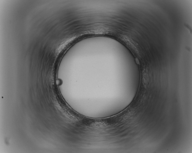 X0000101950536200808081508