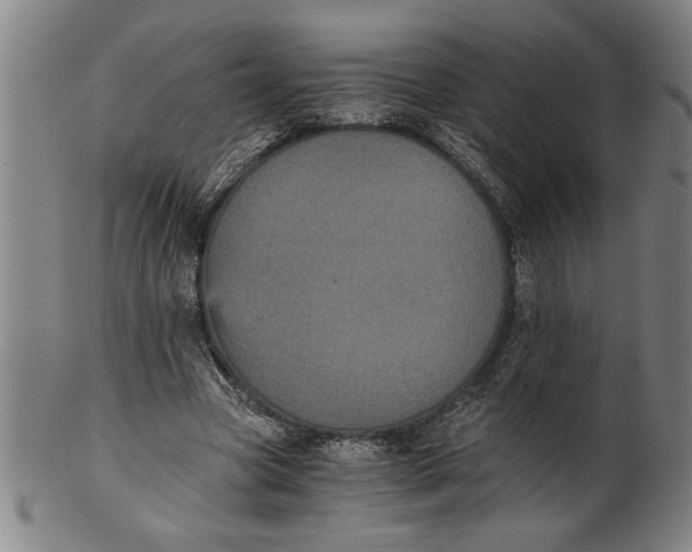 X0000101950537200808081508