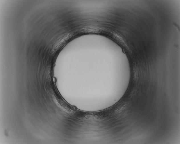X0000101950538200808081508