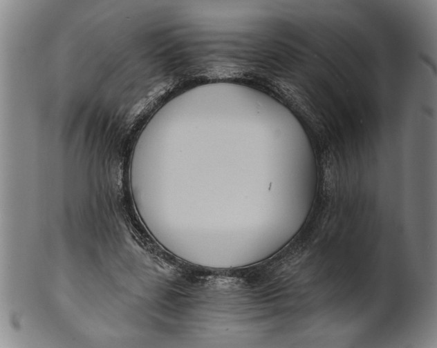 X0000101950539200808081508