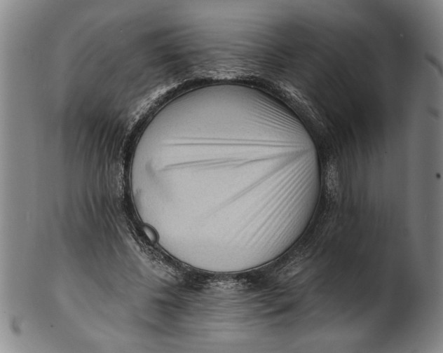 X0000101950540200808081508