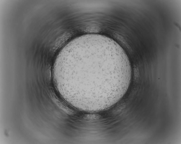 X0000101950541200808081508