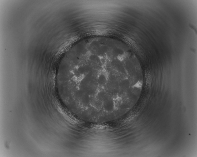 X0000101950542200808081508