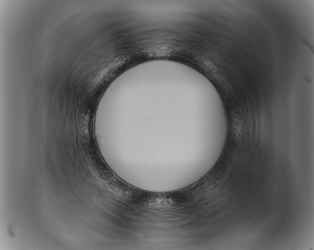 X0000101950543200808081508