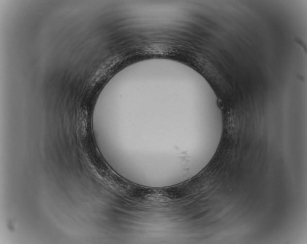 X0000101950544200808081508