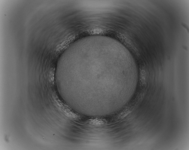 X0000101950545200808081508
