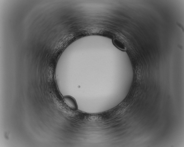 X0000101950546200808081508