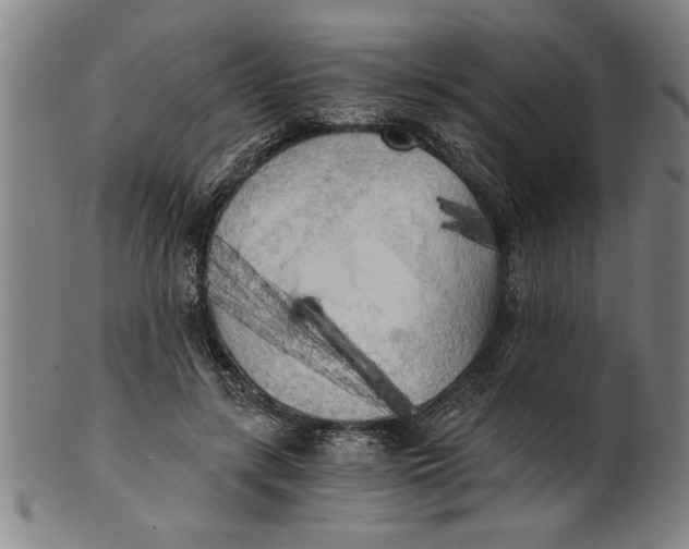 X0000101950547200808081508