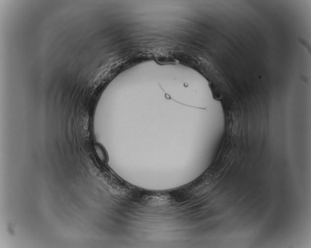 X0000101950548200808081508