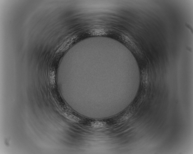 X0000101950549200808081508