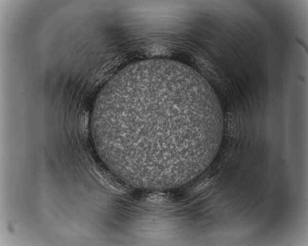X0000101950550200808081508