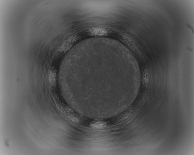 X0000101950551200808081508