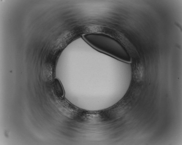 X0000101950552200808081508