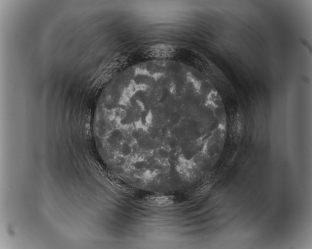 X0000101950553200808081508