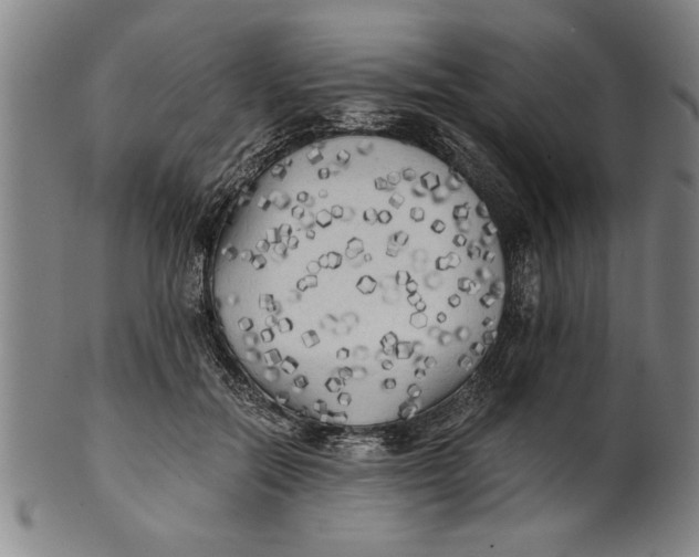 X0000101950554200808081508