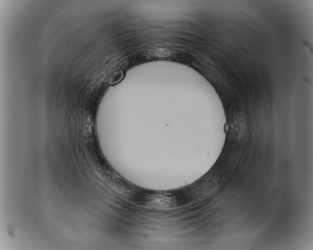 X0000101950555200808081508