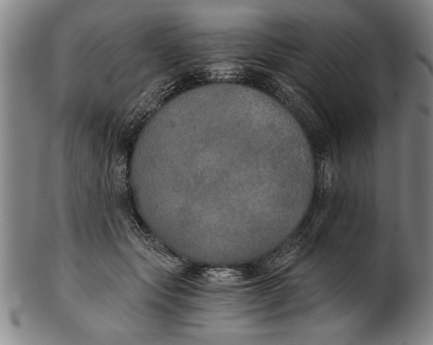 X0000101950557200808081508