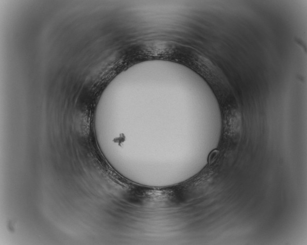 X0000101950558200808081508