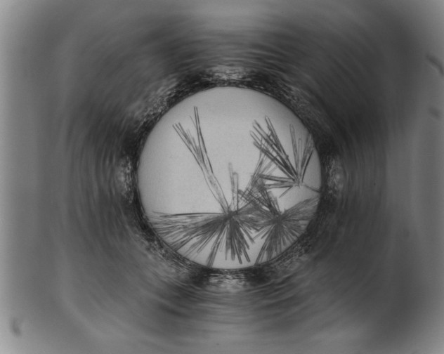 X0000101950559200808081508