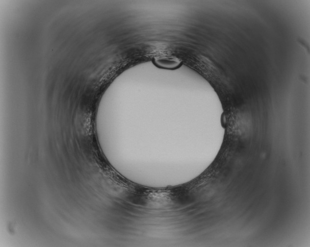 X0000101950560200808081508