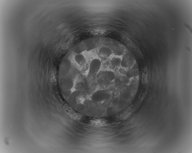 X0000101950561200808081508