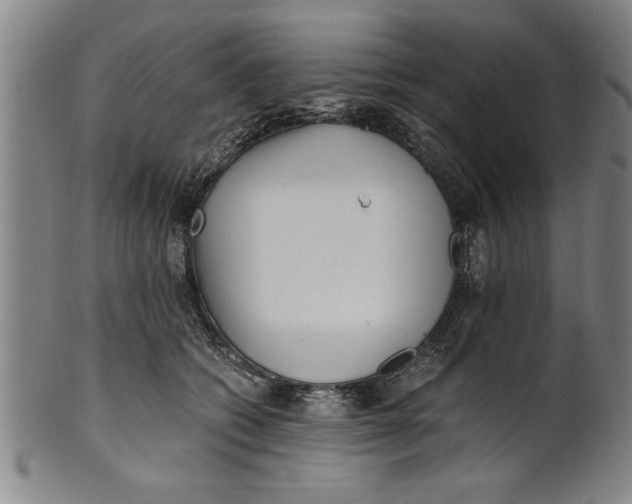 X0000101950562200808081508