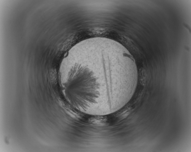 X0000101950563200808081508
