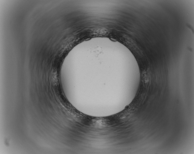 X0000101950564200808081508