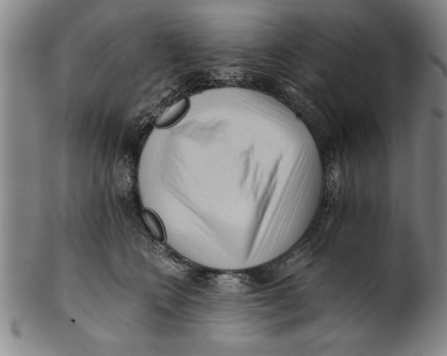X0000101950566200808081508