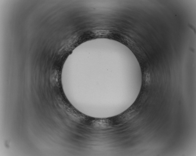 X0000101950567200808081508