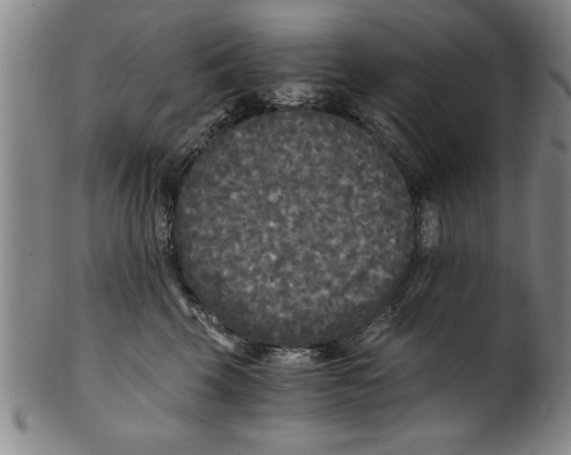 X0000101950569200808081508