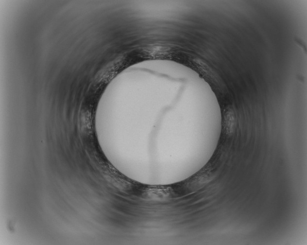 X0000101950571200808081508