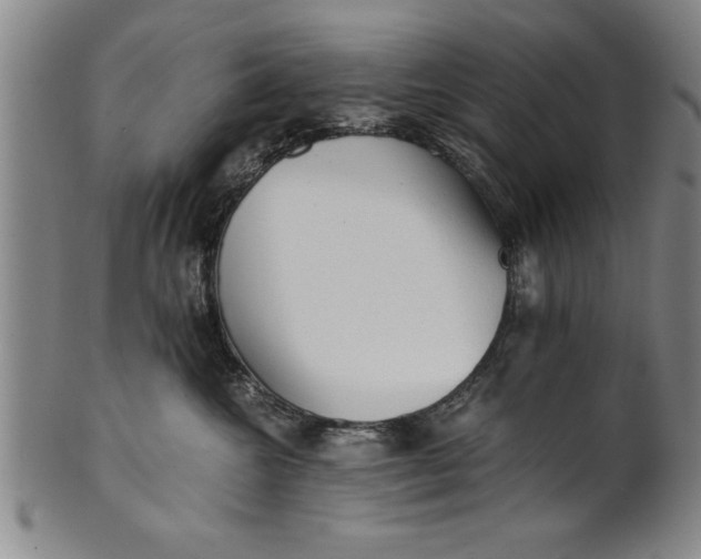 X0000101950572200808081508