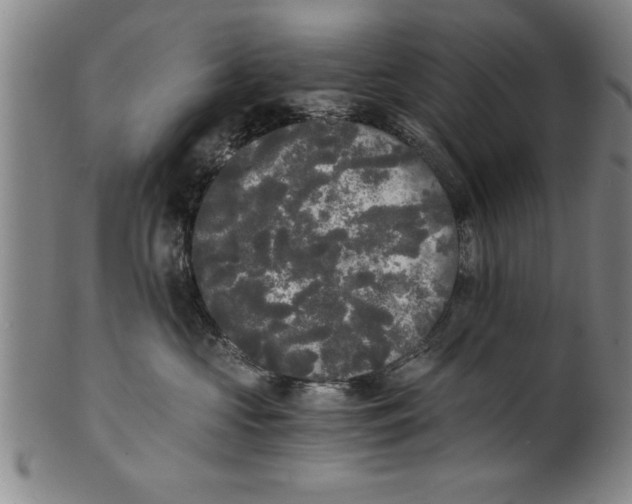 X0000101950573200808081508