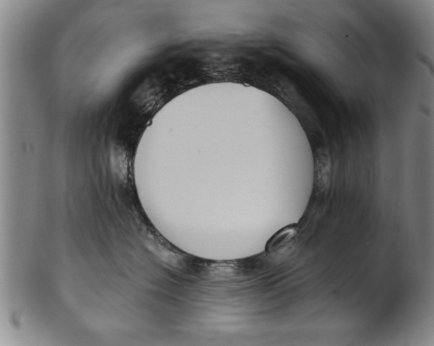 X0000101950574200808081508