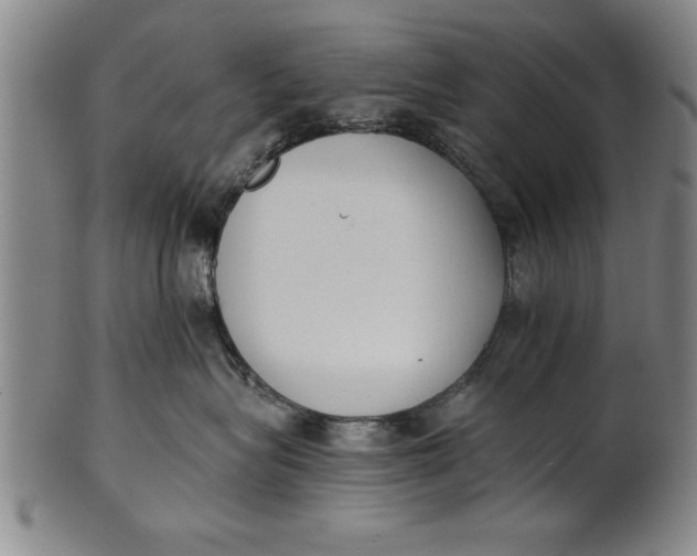 X0000101950575200808081508