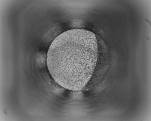 X0000101950576200808081508