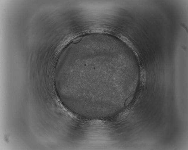 X0000101950577200808081507