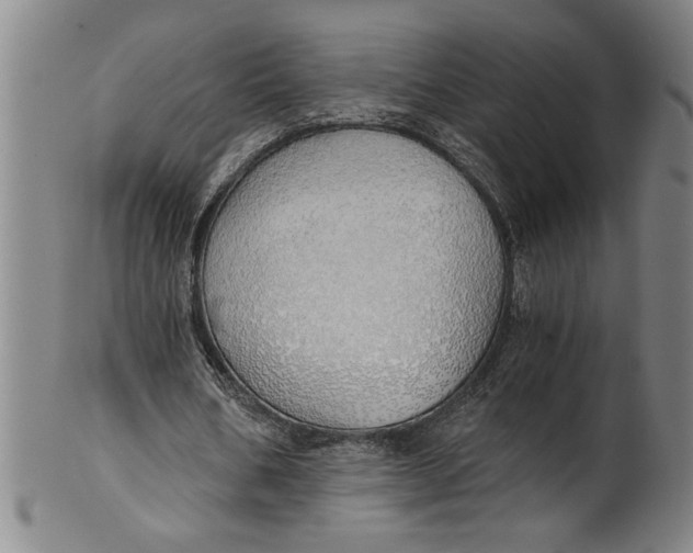 X0000101950578200808081507