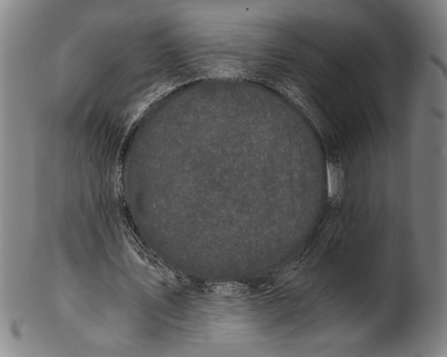 X0000101950579200808081507