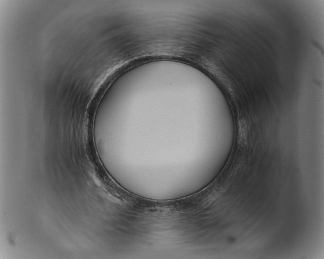 X0000101950580200808081507